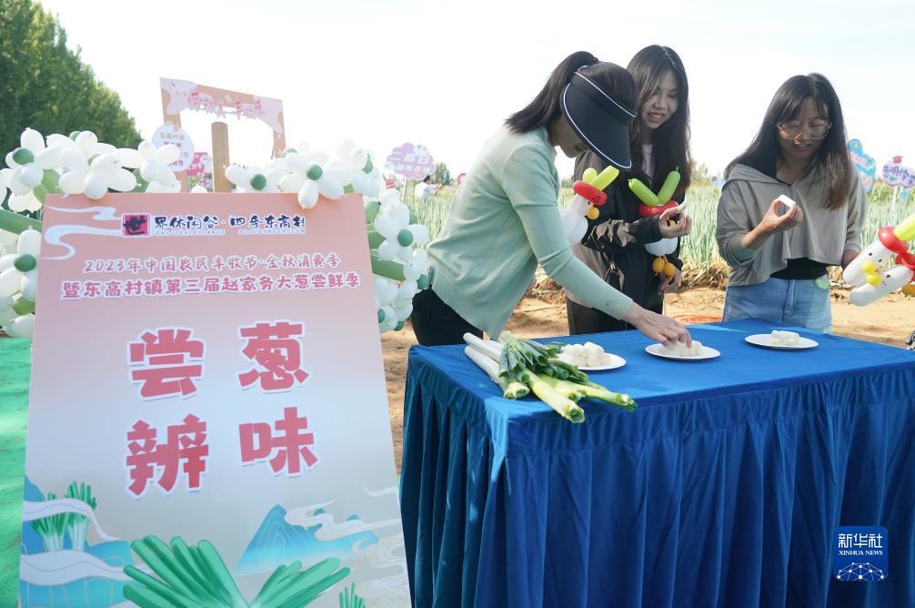 百家什乐鲨鱼分析软件